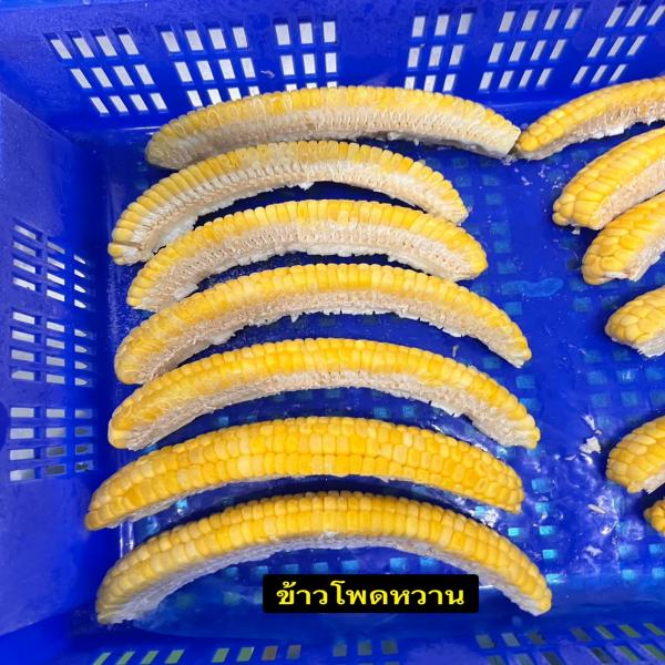 Frozen Sweet Corn