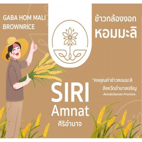 ข้าวกล้องงอก หอมมะลิ