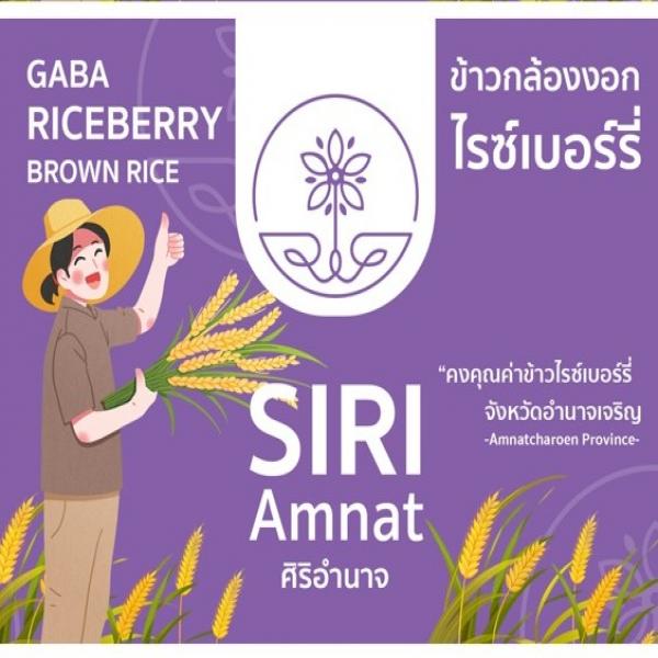 GABA RICEBERRY BROWN RICE