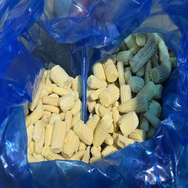 FROZEN BABY CORN CUT
