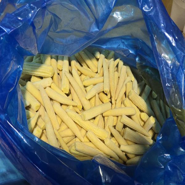 FROZEN BABY CORN WHOLE