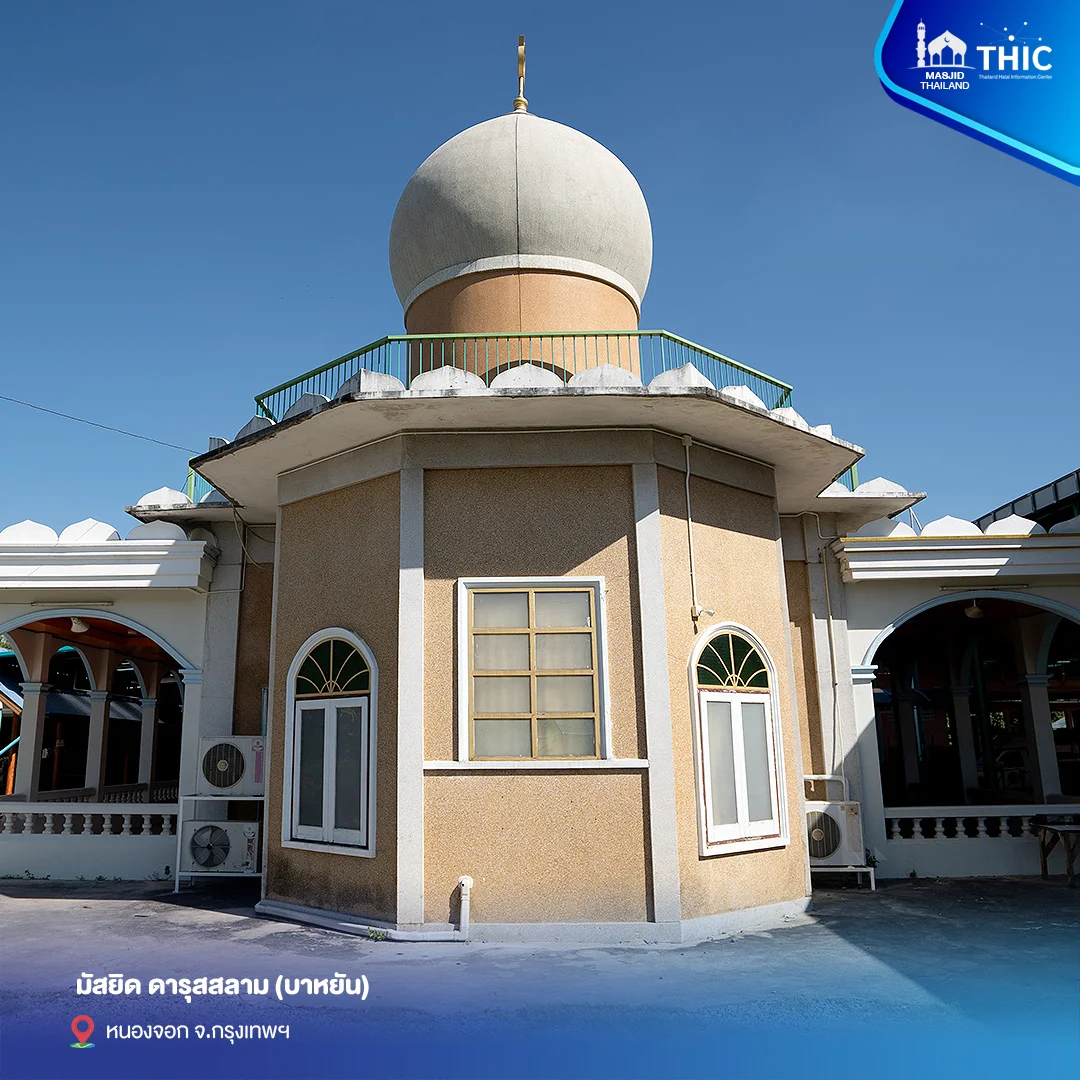 gallery_files_01.webp