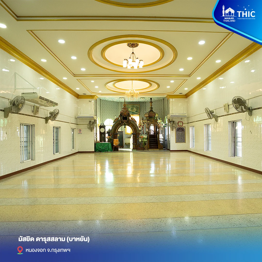 gallery_files_06.webp