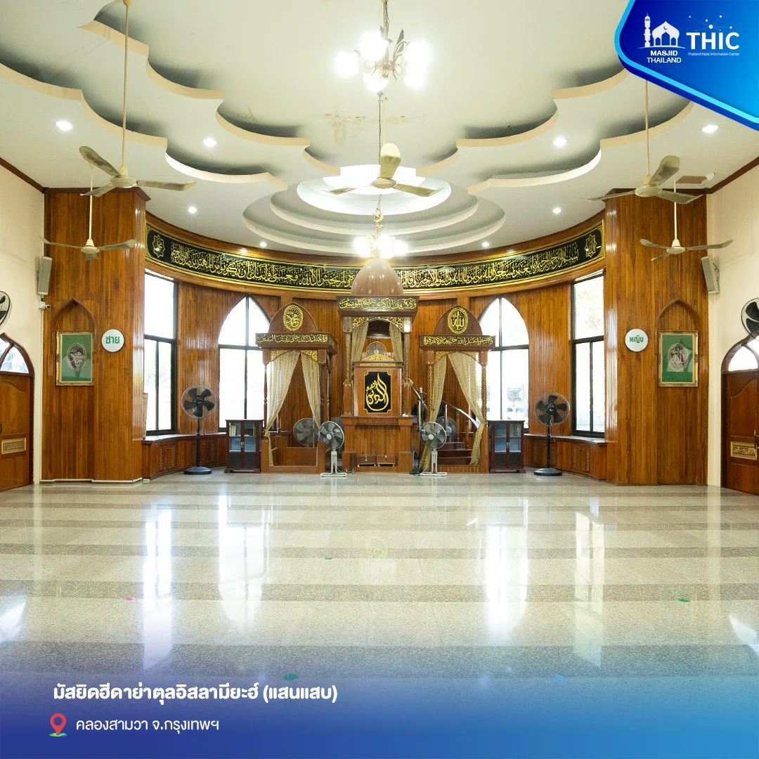 gallery_files_3.webp