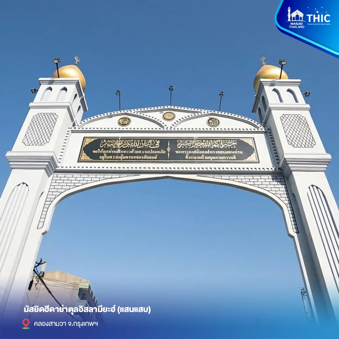 gallery_files_5.webp