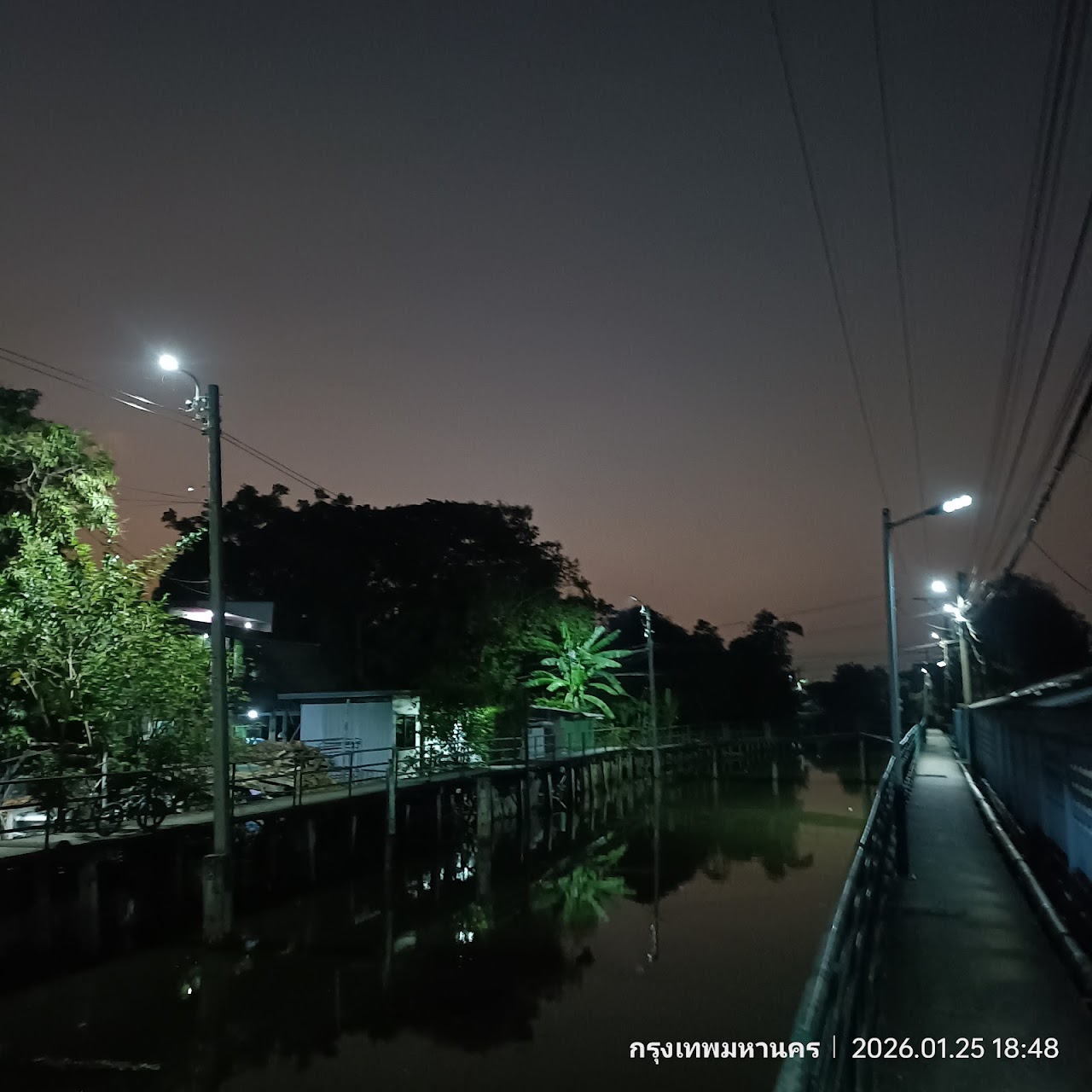 gallery_469_2315.jpg