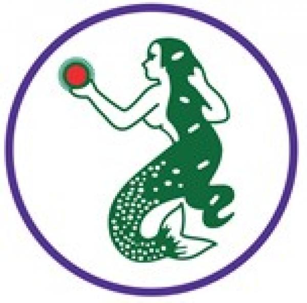 ห้างหุ้นส่วนจำกัด พัฒนาสินเอ็นเตอร์ไพรส์