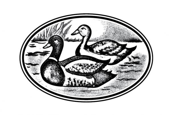 บริษัท เป็ดคู่ (2002) จำกัด