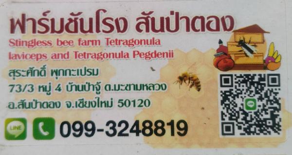 Stingless bee farm and intergrated fruits garden