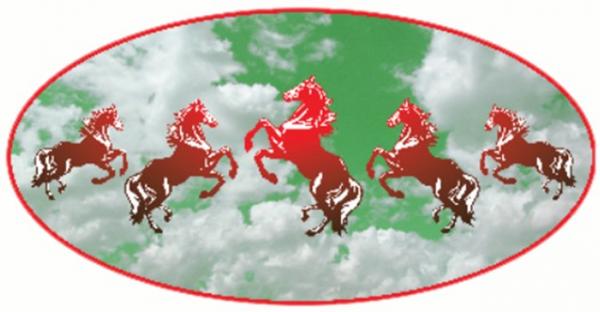 บริษัท ห้าม้า เภสัช จำกัด