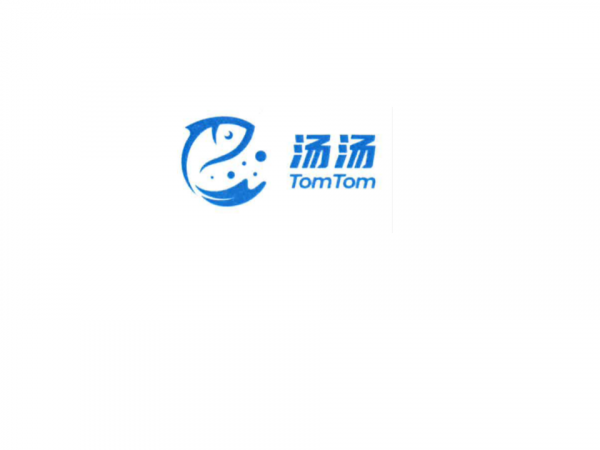 Tom Tom International Pte Ltd