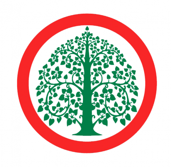 DRAGON SKY (555) CO., LTD.