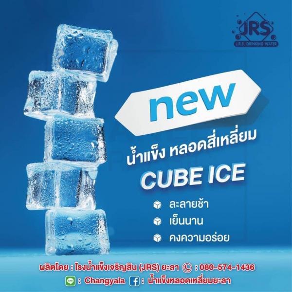 โรงน้ำแข็งเจริญสิน