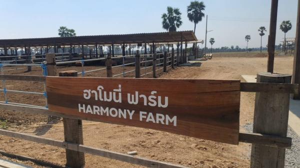 บริษัท ฮาโมนี่ ฟาร์ม จำกัด