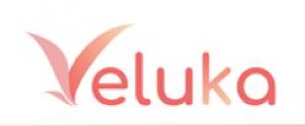 บริษัท เวลูก้า (ประเทศไทย) จำกัด