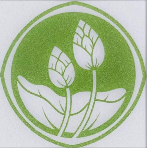 TWIN LOTUS COMPANY LIMITED