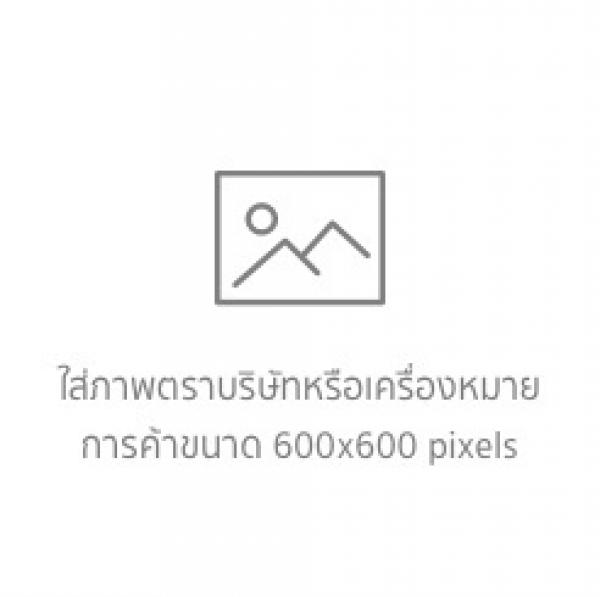 บริษัท รวยปังอลังการ จำกัด